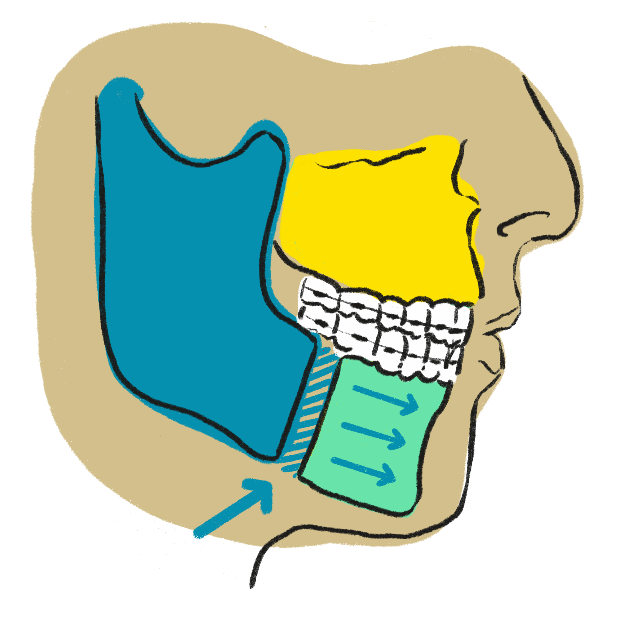 chirurgie_othognatique_dr_bourry